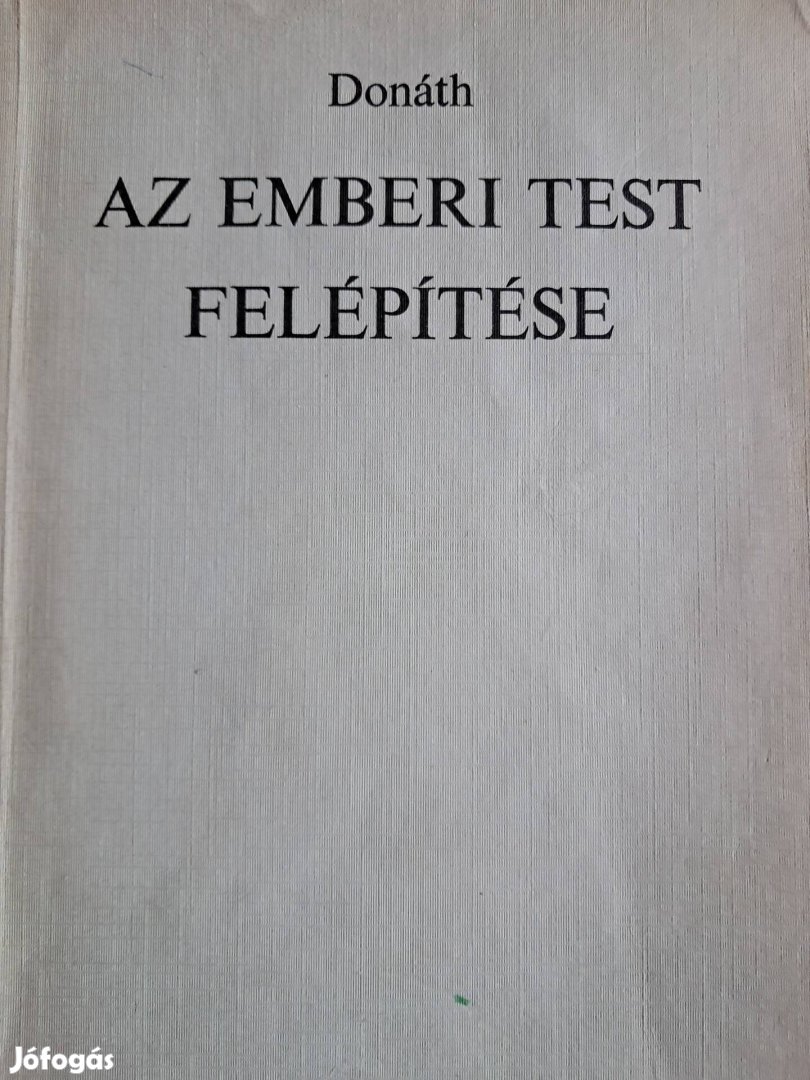 Az Emberi Test Felépítése 