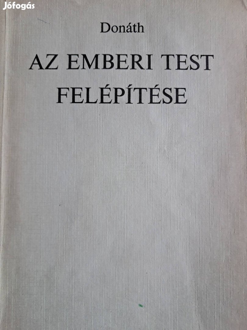 Az Emberi Test Felépítése 