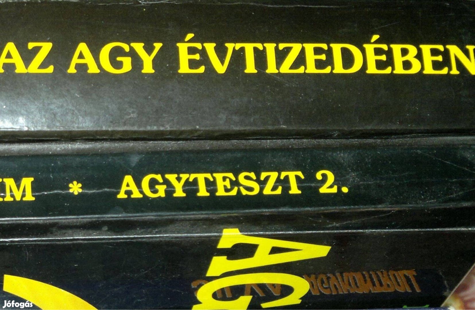 Az agy évtizedében és Agyteszt=könyvcsomag
