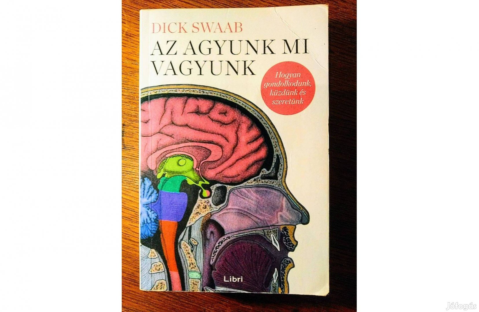 Az agyunk mi vagyunk (Az anyaméhtől az Alzheimerig) Dick Swaab