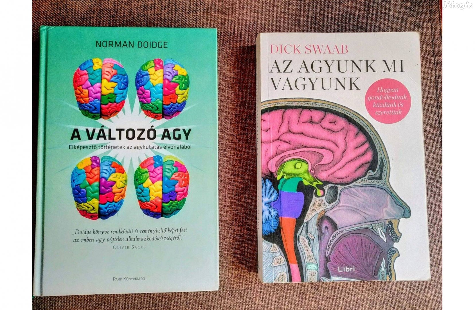 Az agyunk mi vagyunk (Az anyaméhtől az Alzheimerig) Dick Swaab Libri K
