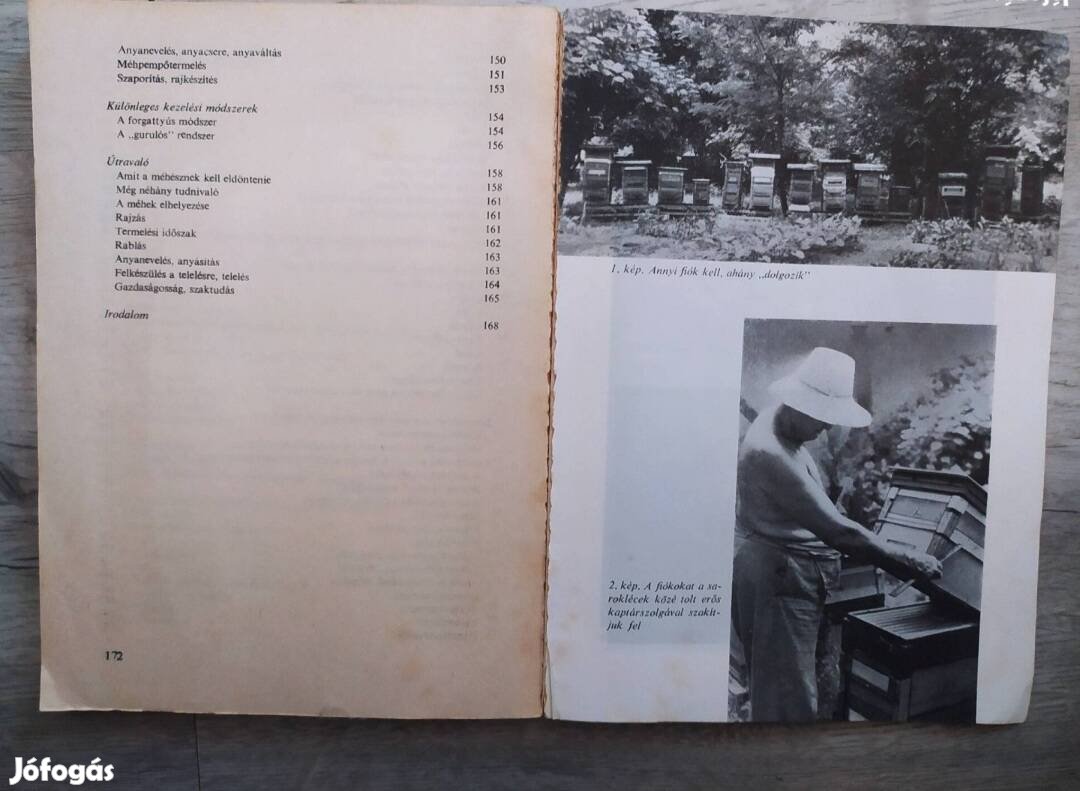Az alacsonykeretes rakodó kaptár c. könyv 