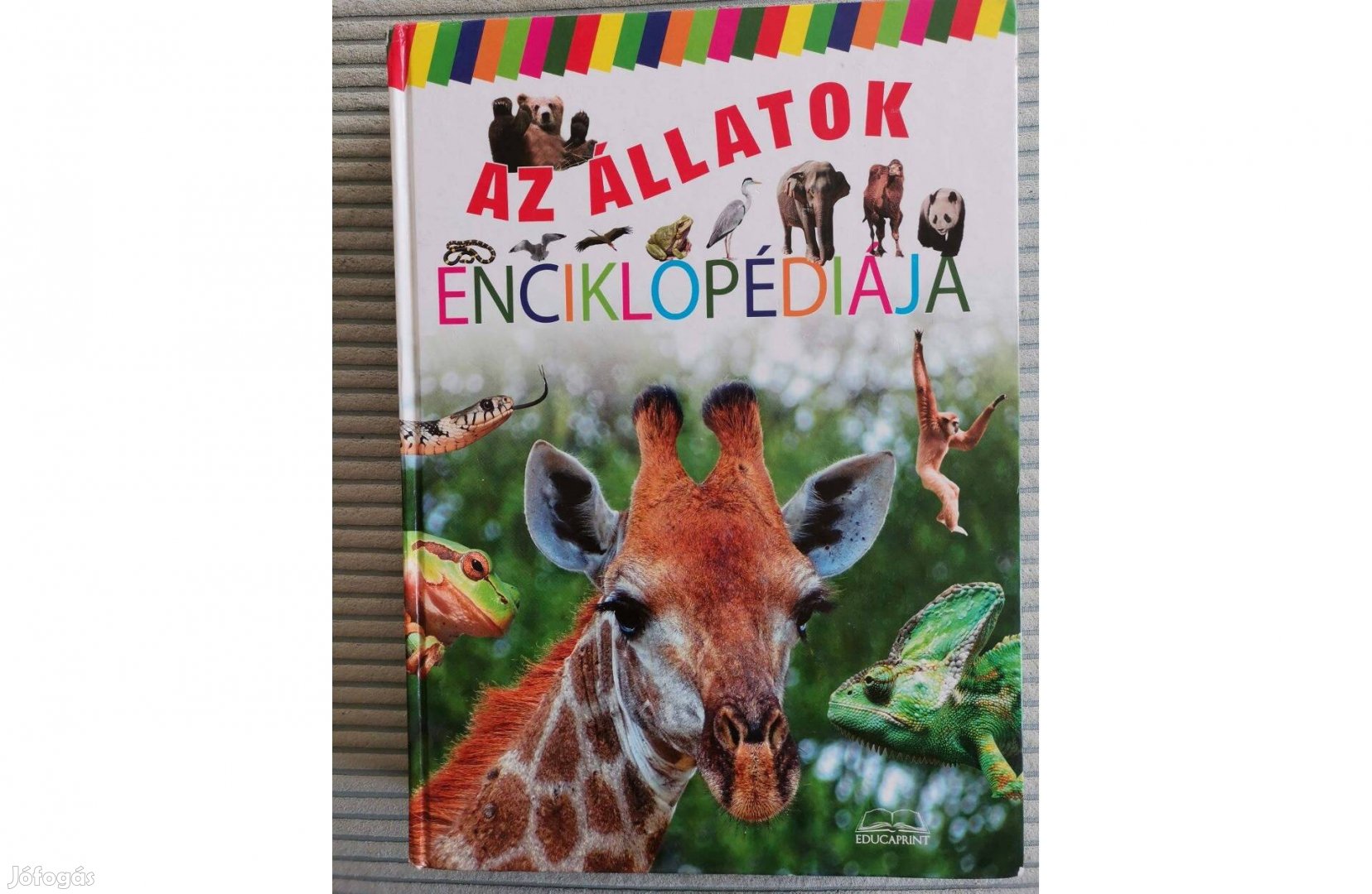 Az állatok enciklopédiája - csomagolássérült