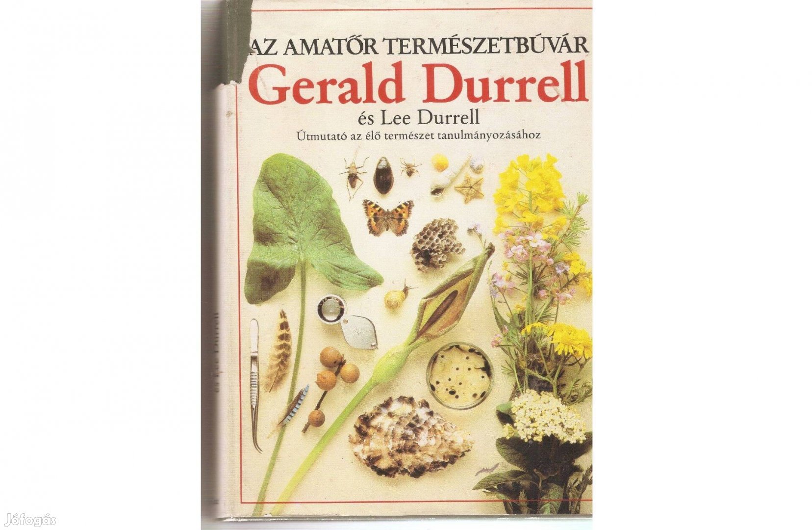 Az amatőr természetbúvár (Gerlad Durrell)