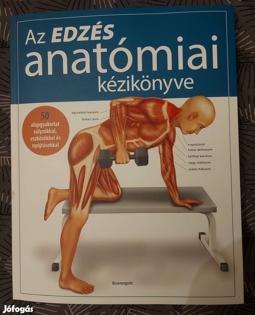 Az edzes anatomiai kezikönyve
