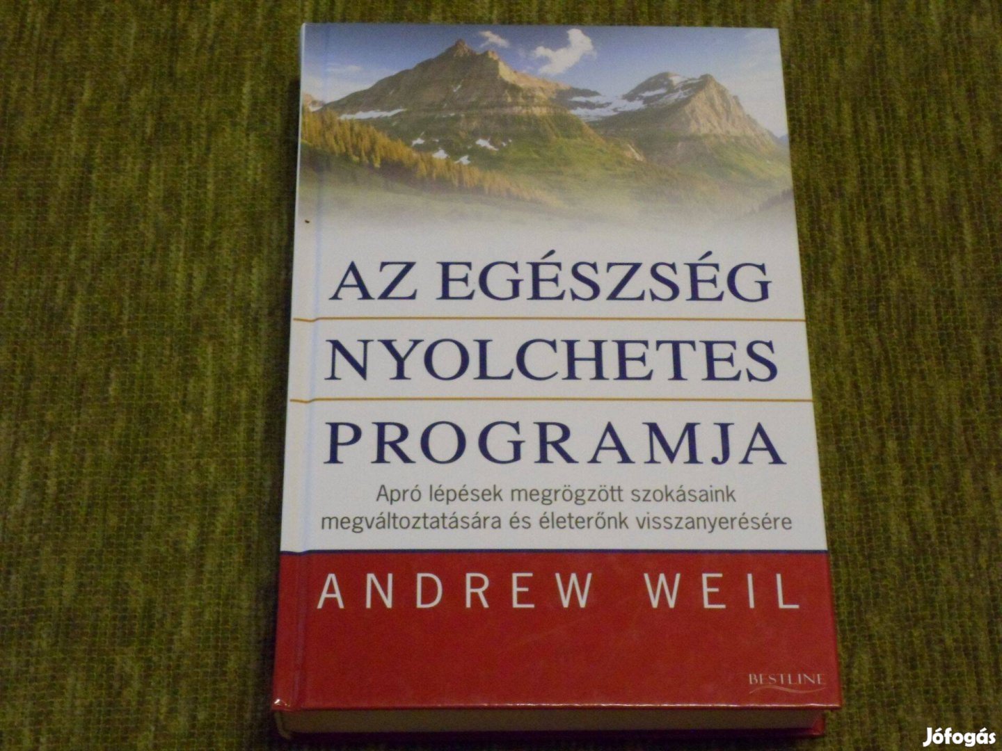 Az egészség nyolchetes programja - Apró lépésekkel életerőn felé