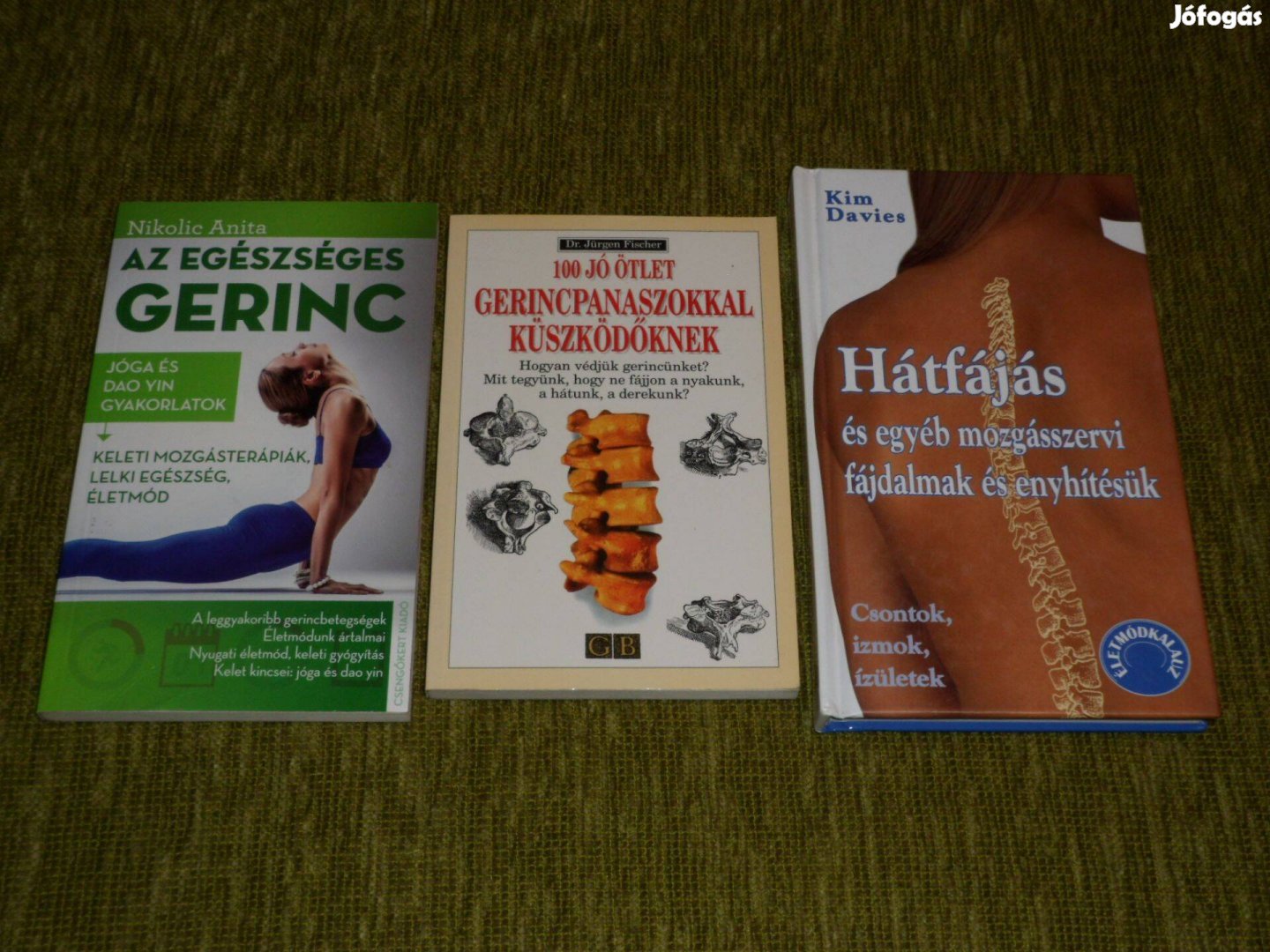 Az egészséges gerinc 100 jó ötlet gerincpanaszokra Hátfájás