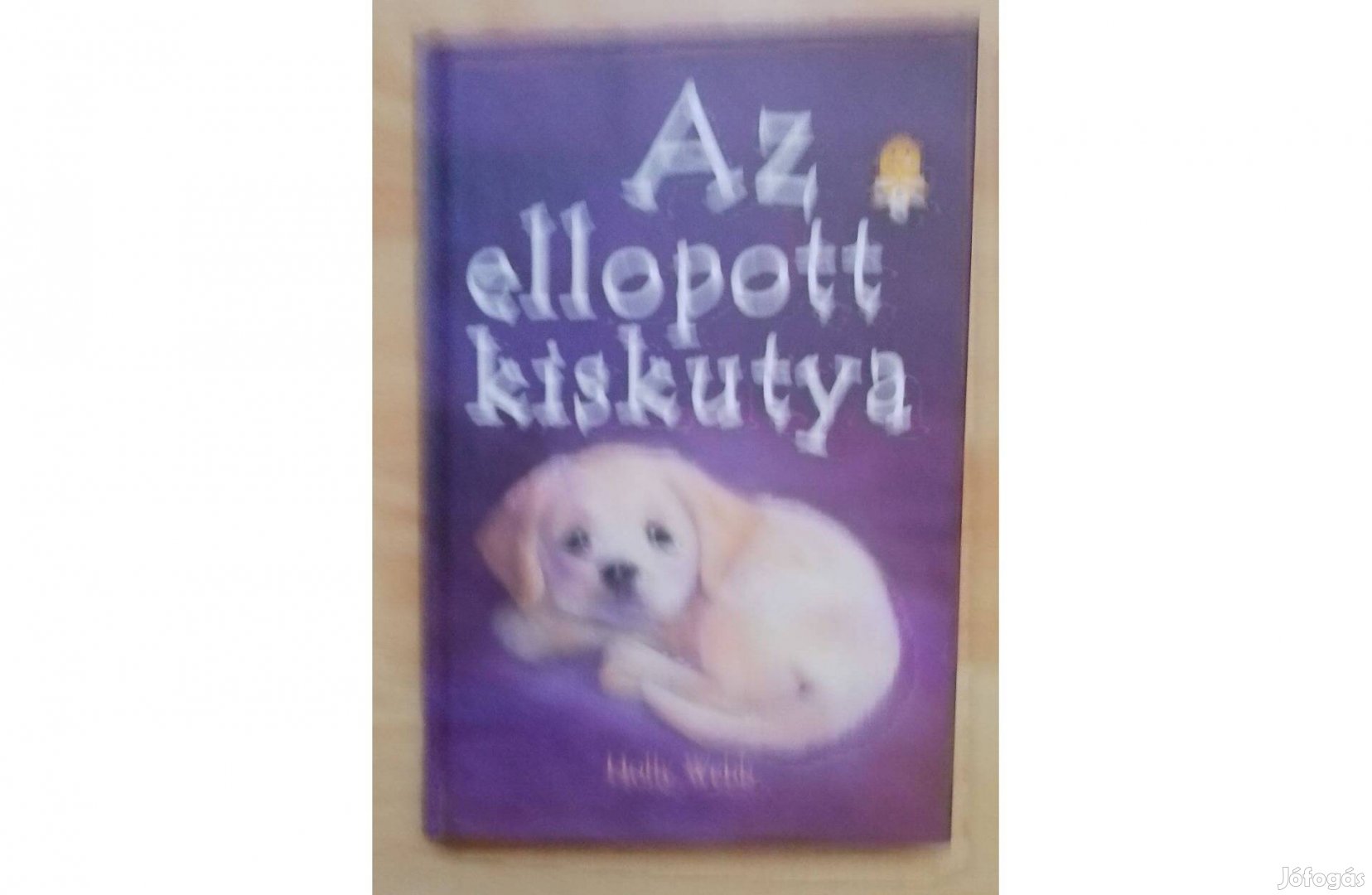 Az ellopott kiskutya új