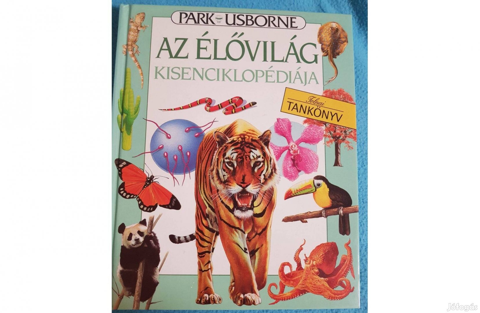 Az élővilág kisenciklopédiája - Park - Usborne