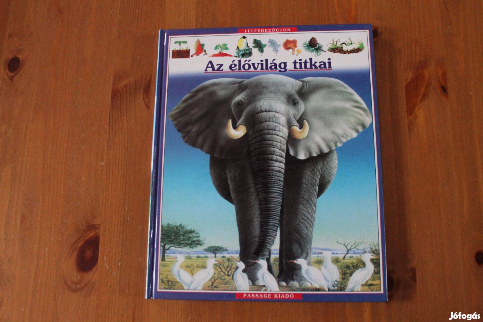 Az élővilág titkai - Passage kiadó / gyermek ismeretterjesztő könyv