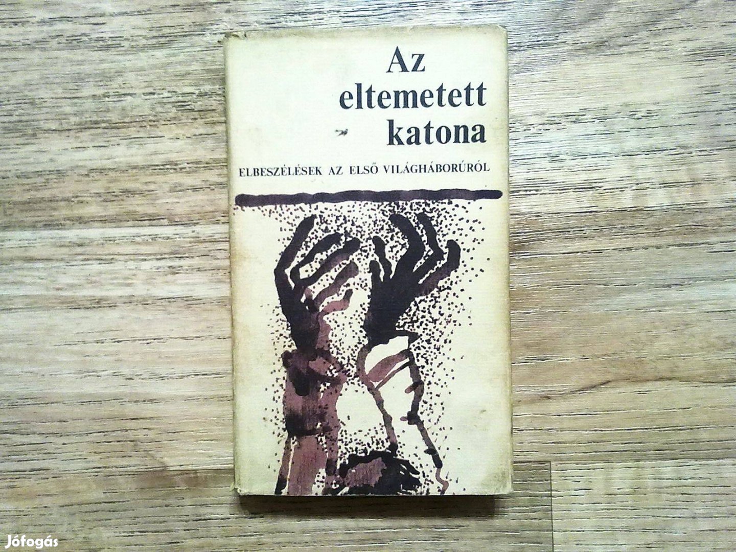 Az eltemetett katona - Elbeszélések az első világháborúból