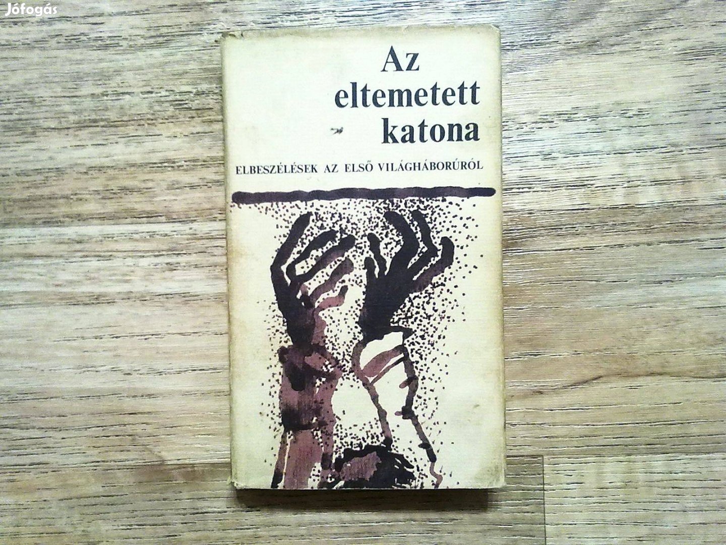 Az eltemetett katona - Elbeszélések az első világháborúból