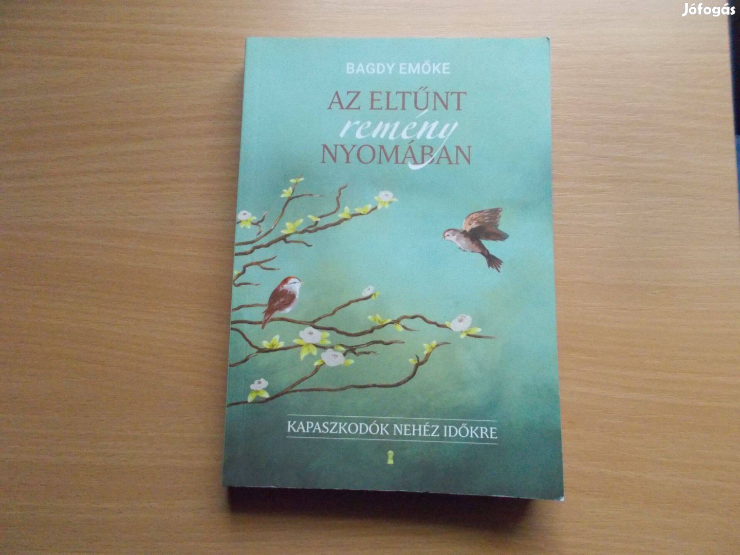 Az eltűnt remény nyomában - Kapaszkodók nehéz időkre, Bagdy