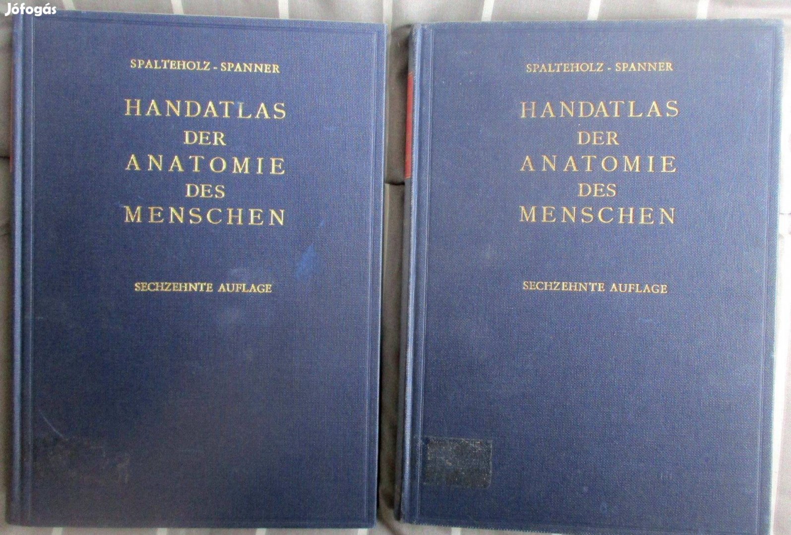 Az ember anatómiájának kézi atlasza / Handatlas der Anatomie des Mensc