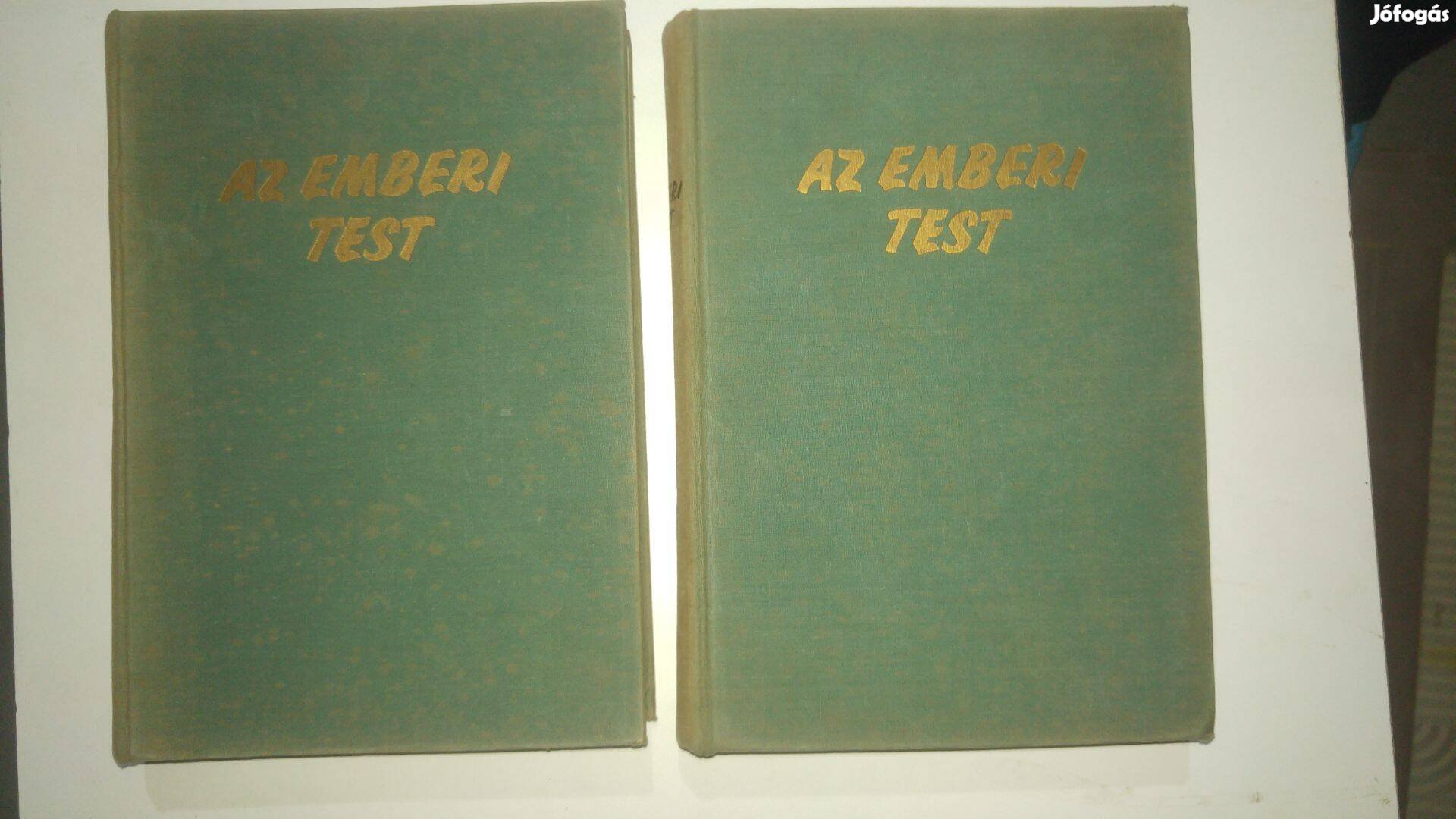 Az emberi test 1-2