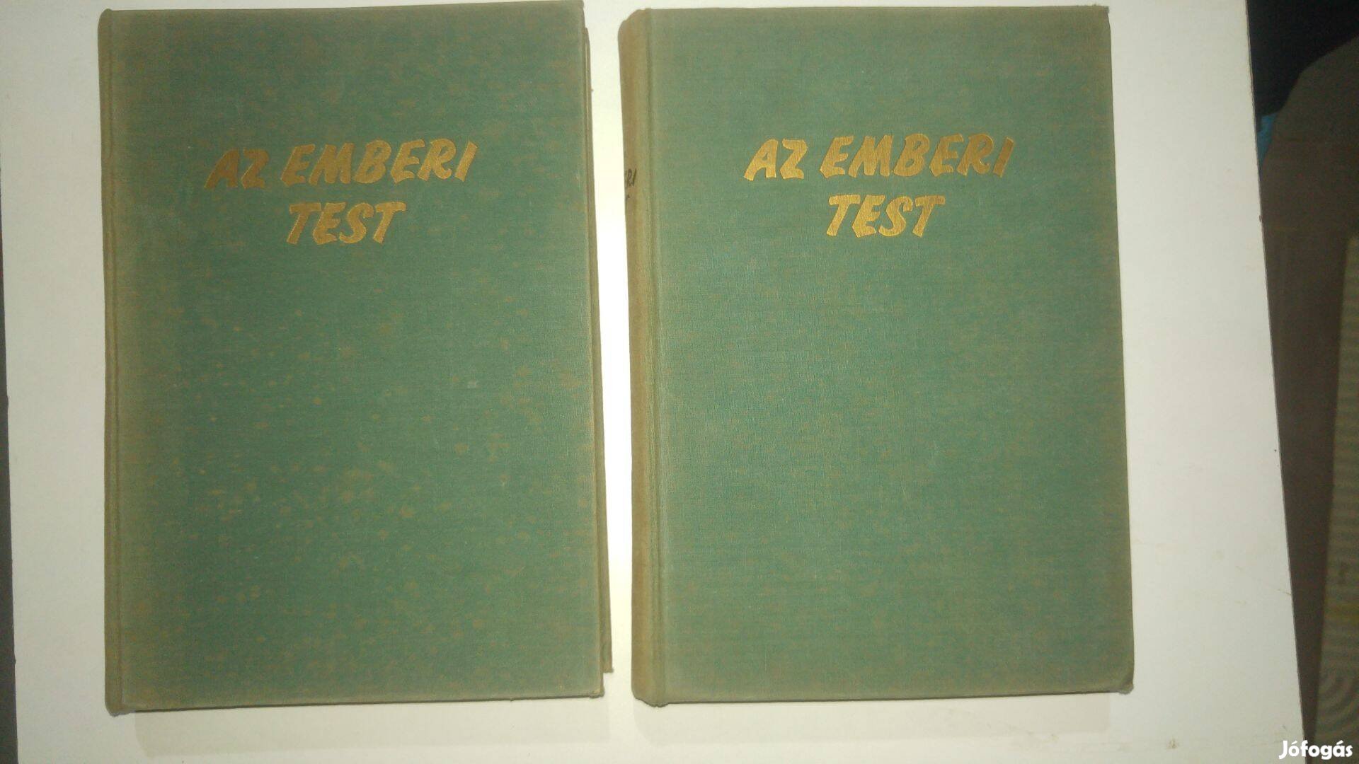 Az emberi test 1-2