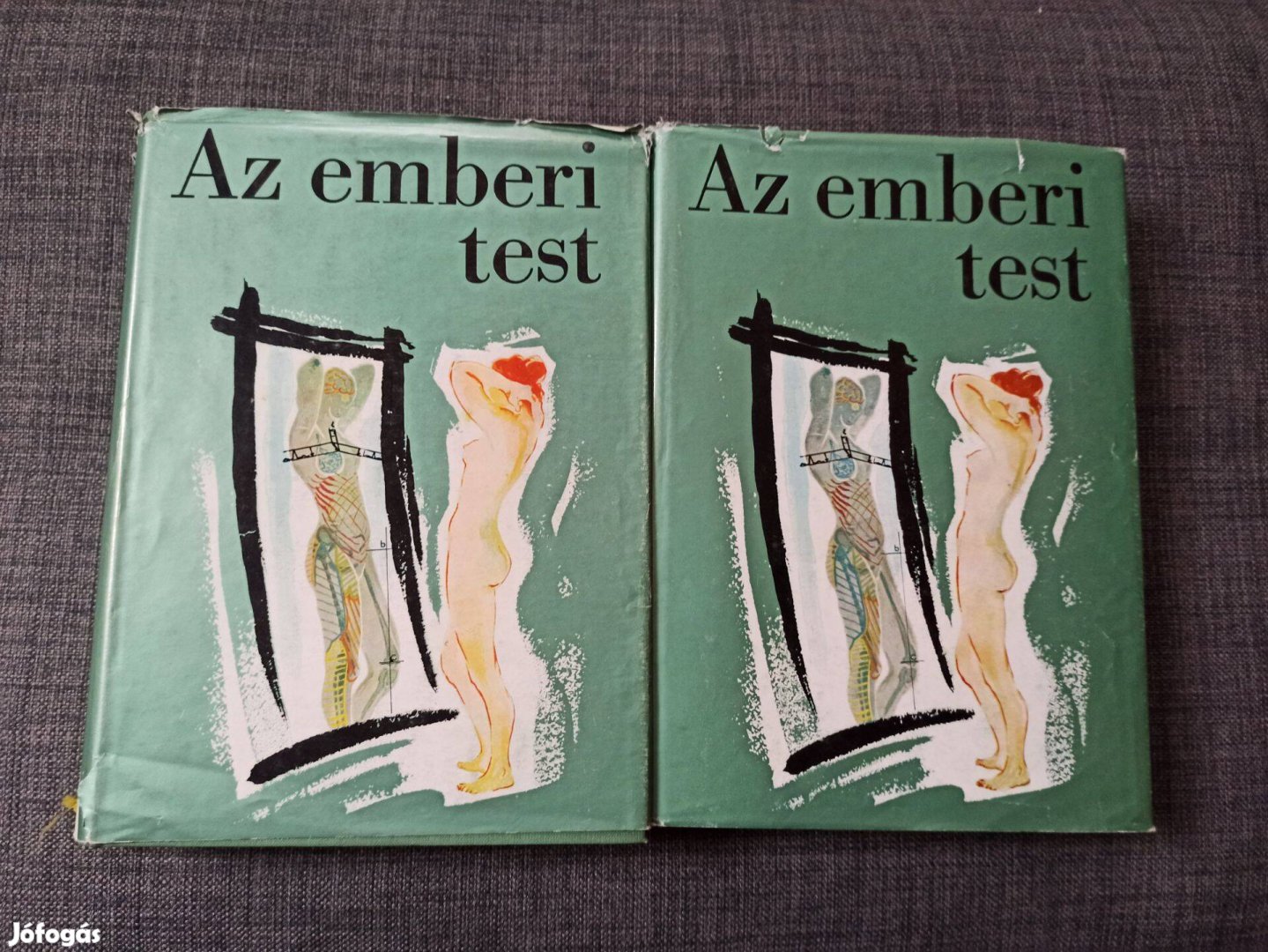 Az emberi test 1-2. / A Modern Orvostudomány Eredményeinek