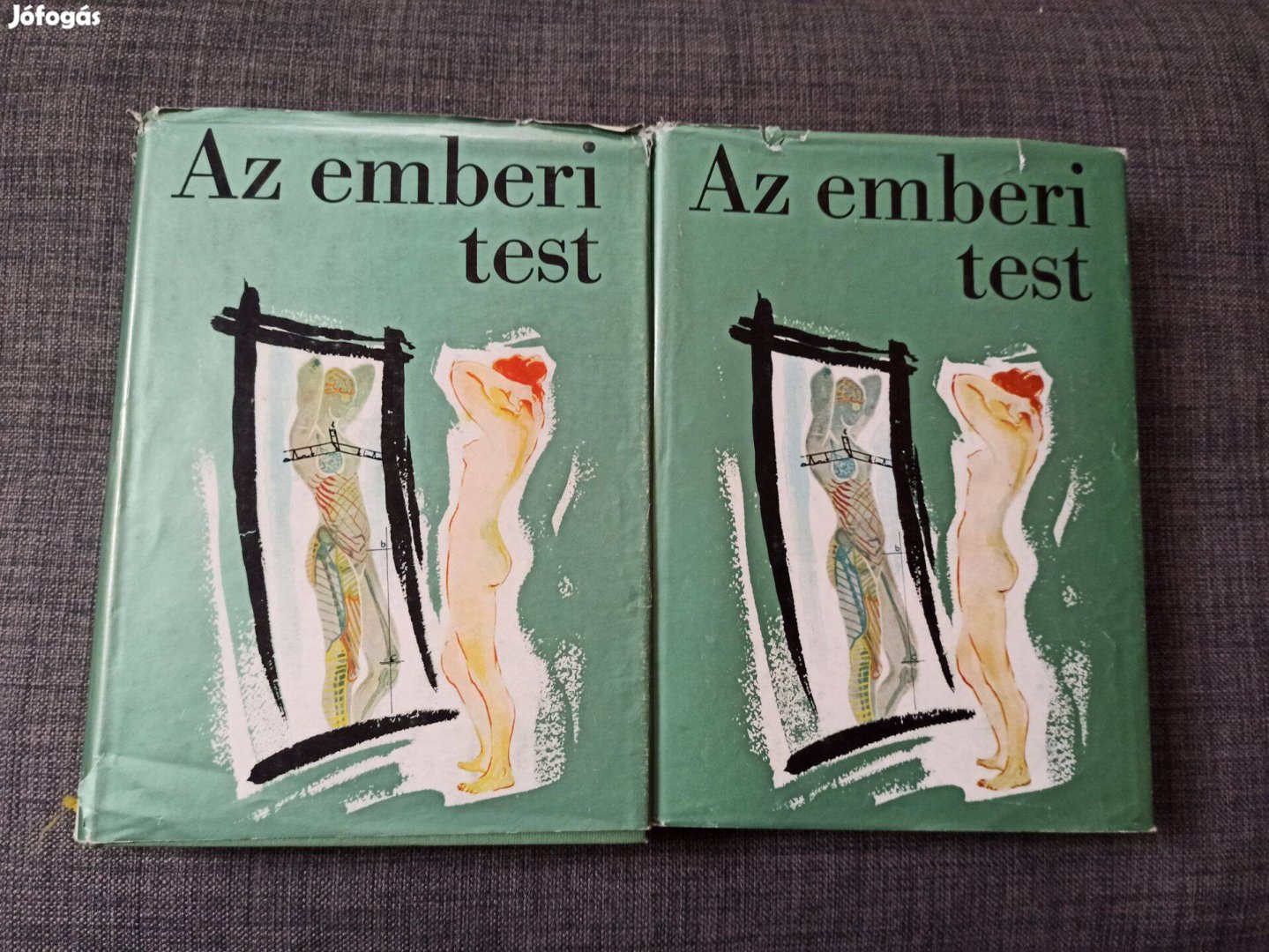 Az emberi test 1-2. / A Modern Orvostudomány Eredményeinek