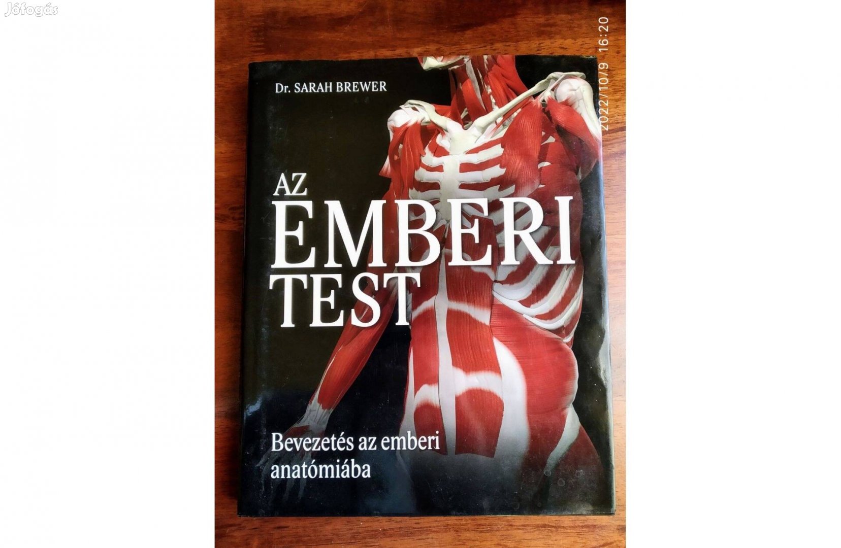 Az emberi test Dr. Sarah Brewer Gabo Kiadó