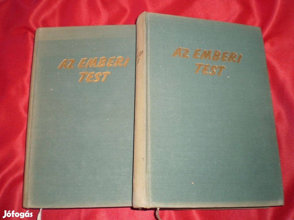 Az emberi test I-II