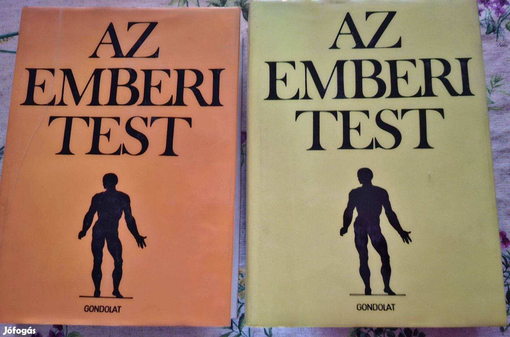 Az emberi test I.-II. kötet