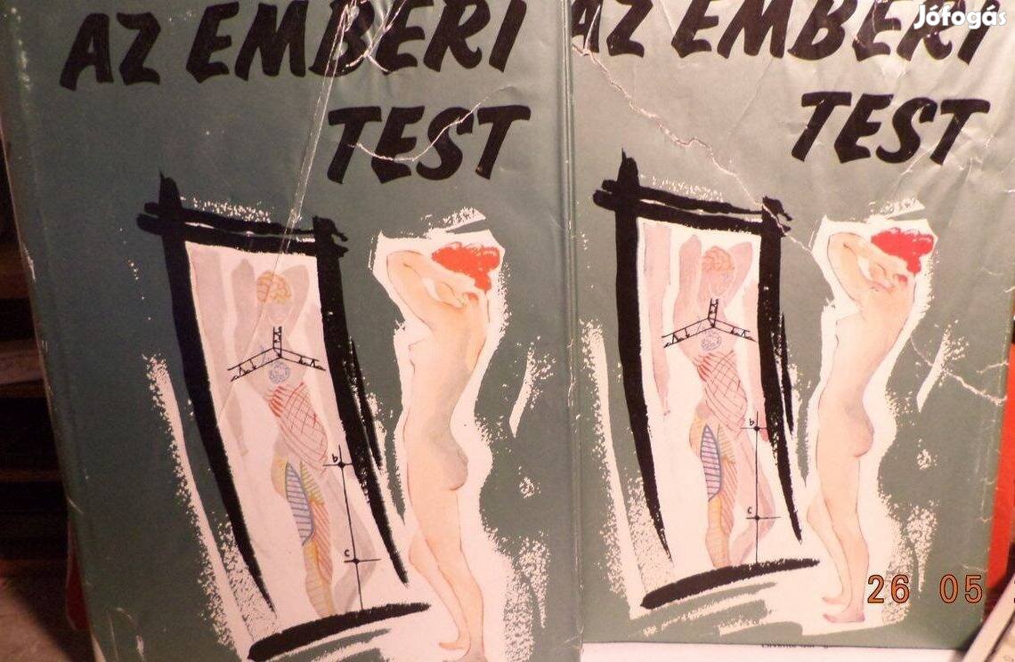 Az emberi test I - II