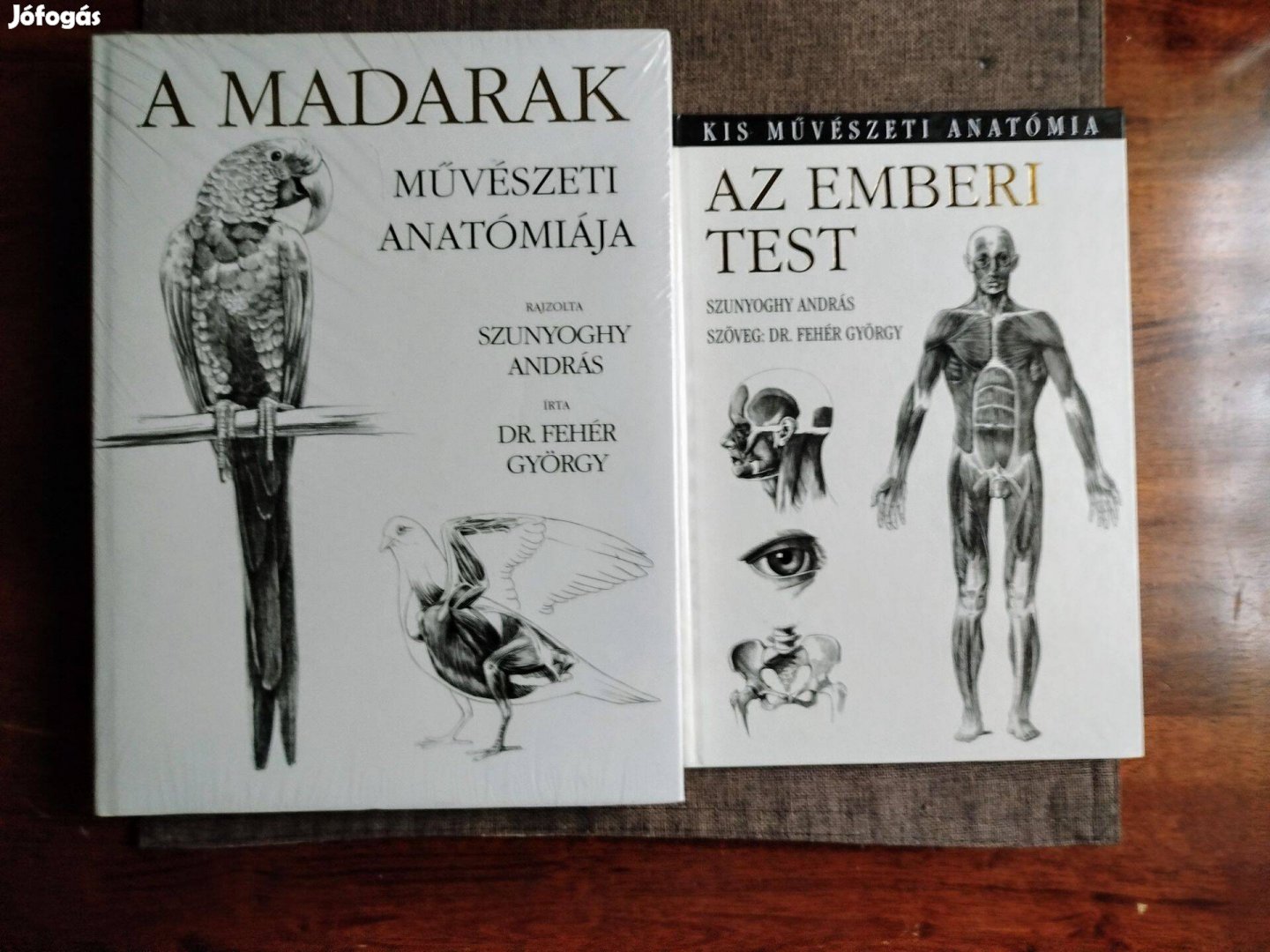 Az emberi test Szunyoghy András