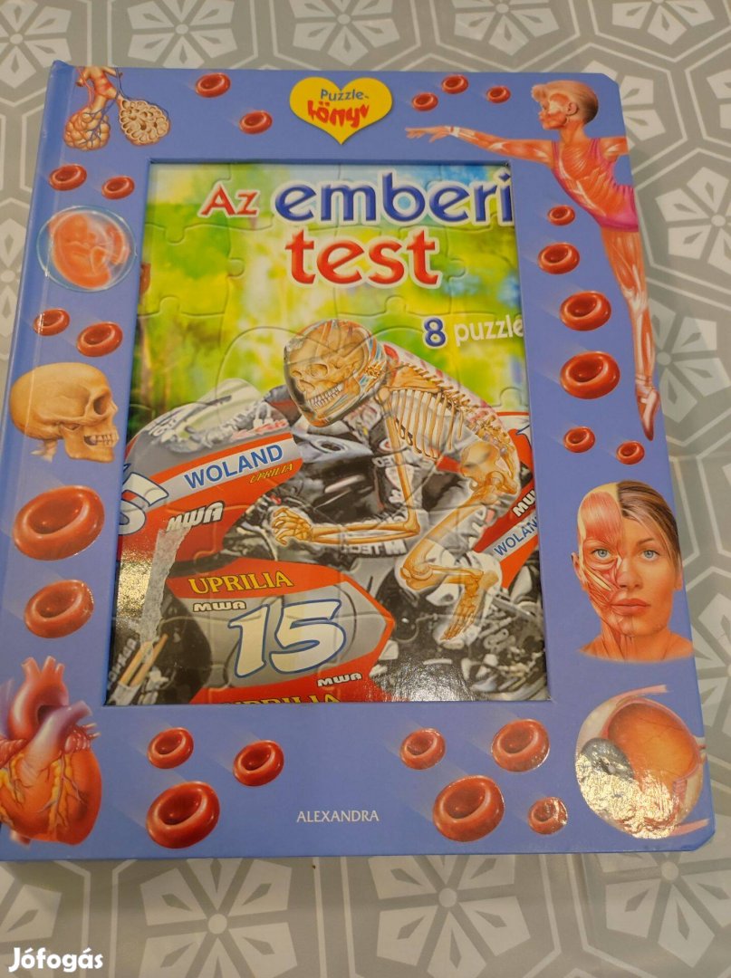 Az emberi test, Puzzle könyv, 8 db, Alexandra kiadó