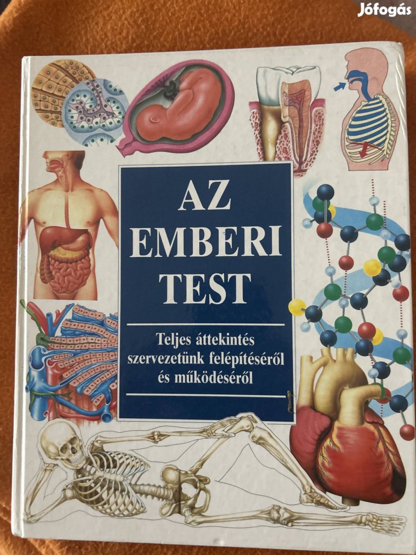 Az emberi test -