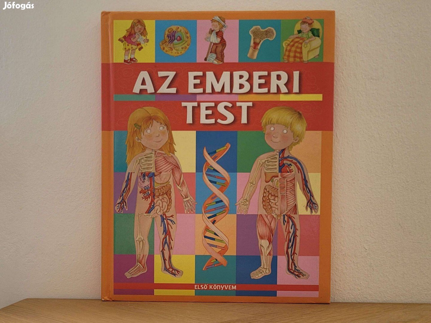 Az emberi test - Első könyvem könyv eladó