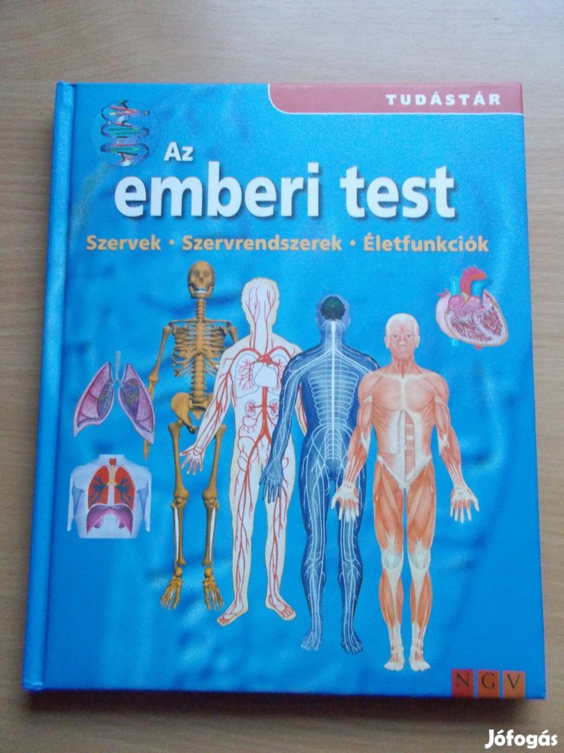 Az emberi test - Szervek - Szervrendszerek - Életfunkciók