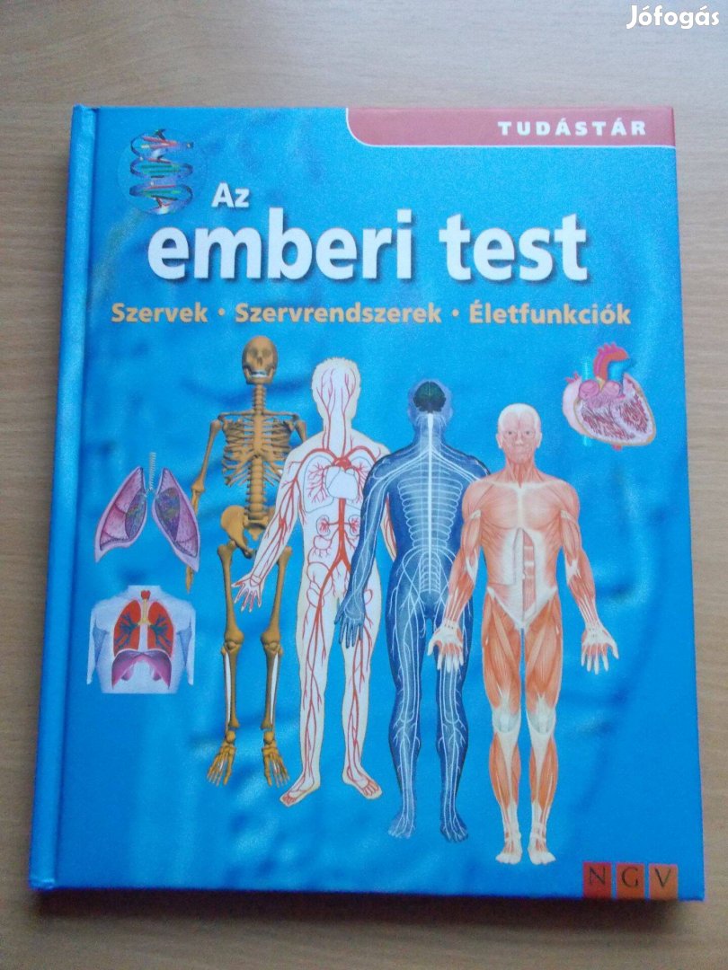 Az emberi test - Szervek - Szervrendszerek - Életfunkciók