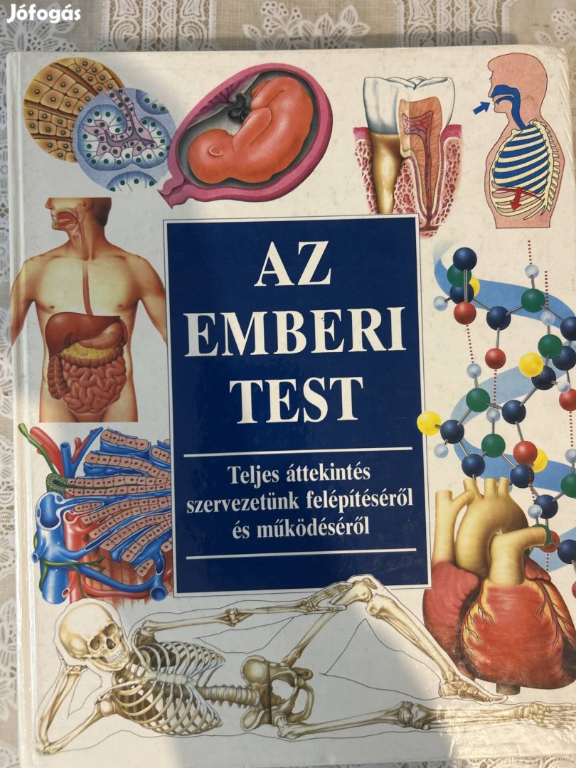 Az emberi test - 