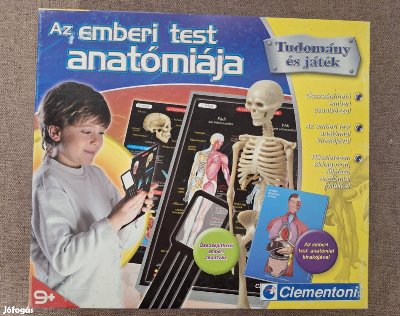 Az emberi test anatómiája játék