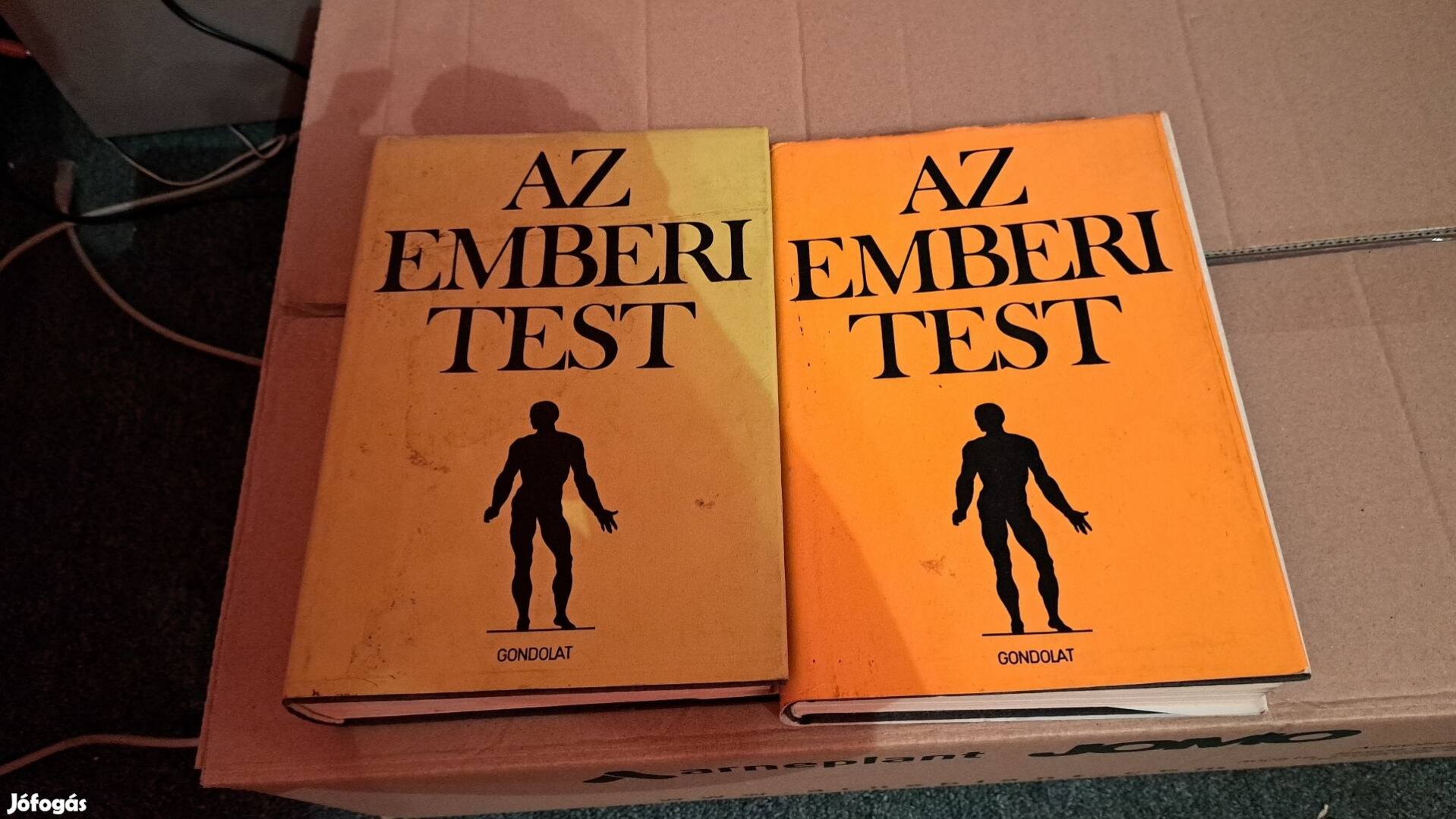 Az emberi test című anatómiai könyv