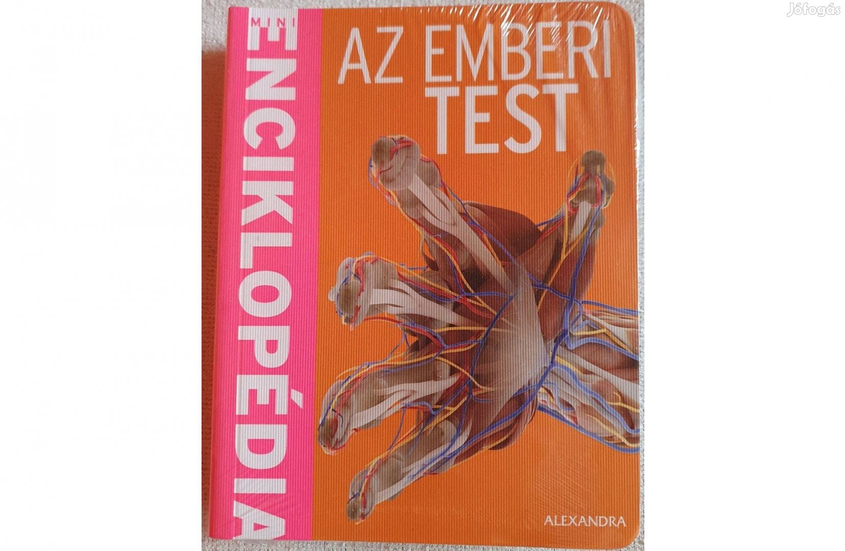 Az emberi test enciklopédia