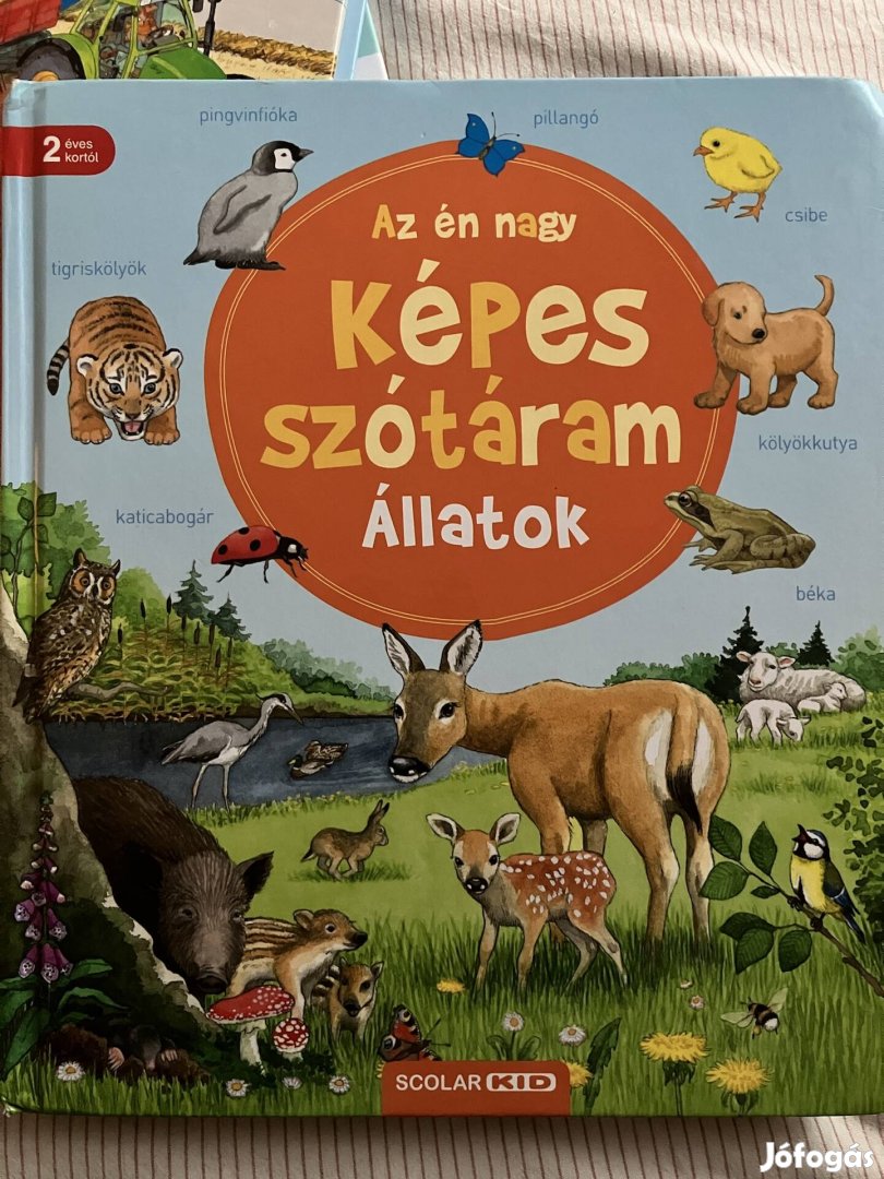 Az én nagy képes szótáram - állatok - scolar