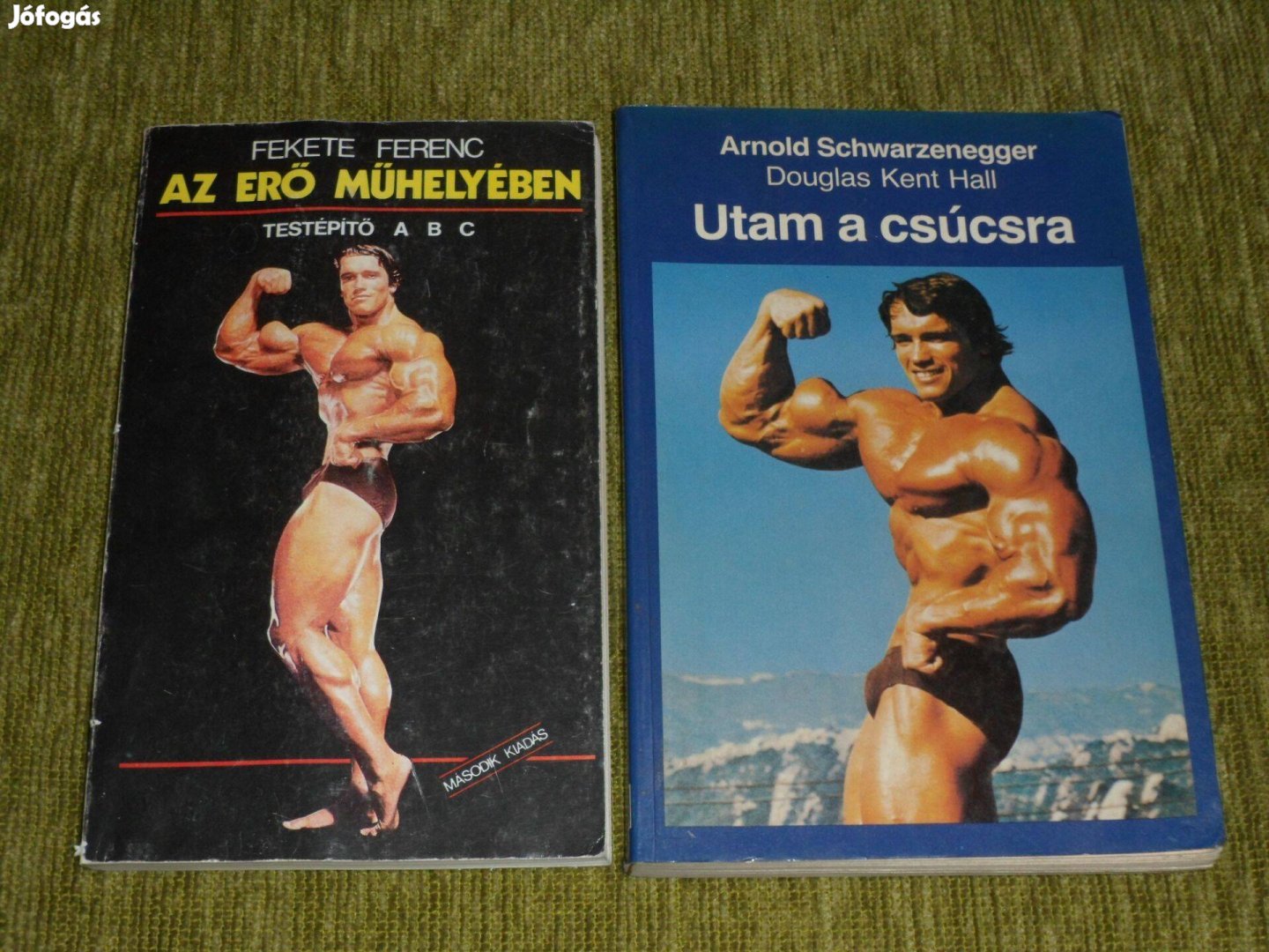 Az erő műhelyében - testépítő ABC + Utam a csúcsra (Schwarzenegger