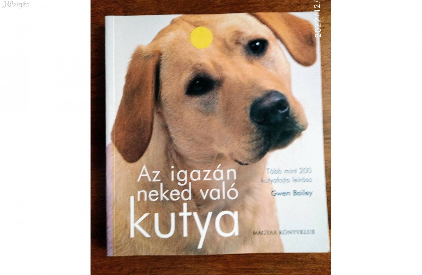 Az igazán neked való kutya Gwen Bailey Magyar Könyvklub,