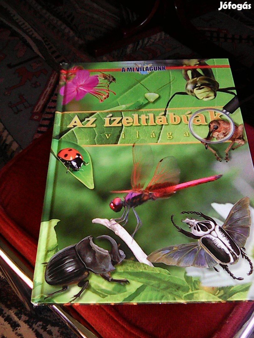 Az ízeltlábúak Világa A MI Világunk