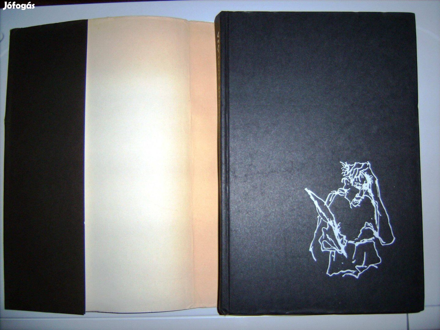 Az őrült naplója Gogol