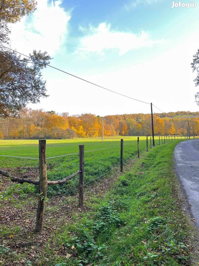 Az osztrák határ mellett 5,25ha építési telek,mezőgazdasági területtel