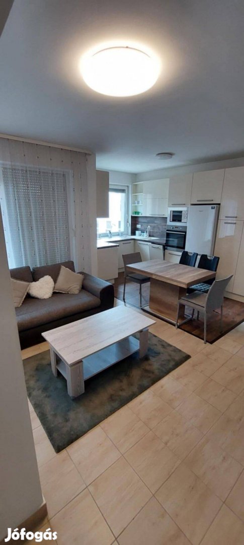 Azonnal költözhető, klímás, nappali 1 szobás lakás kiadó!