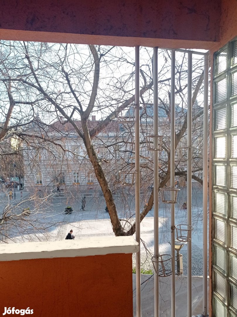 Azonnal költözhető belvárosi első emeleti téglalakás ELADÓ!