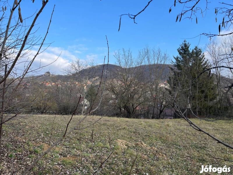 BERUHÁZÓK, KÖZÖS TELEKRE IKERHÁZAT TERVEZŐ FIATALOK