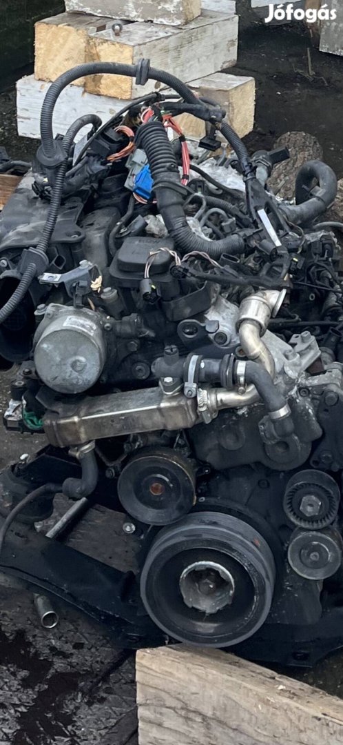 BMW 318d motor bontódik !