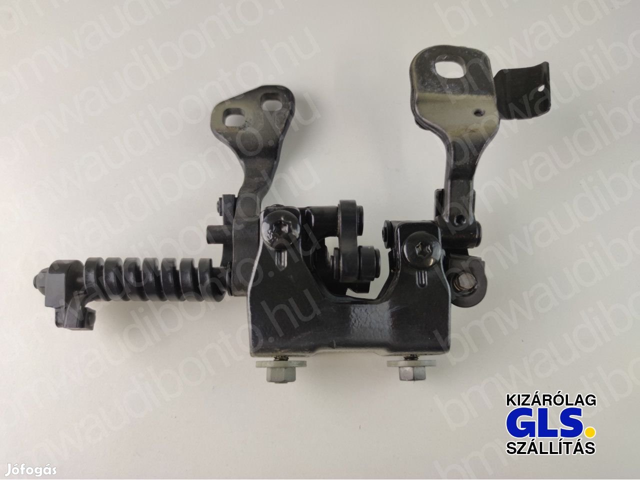 BMW 3 Touring (E91) Jobb csomagtérajtó zsanér (7119042)