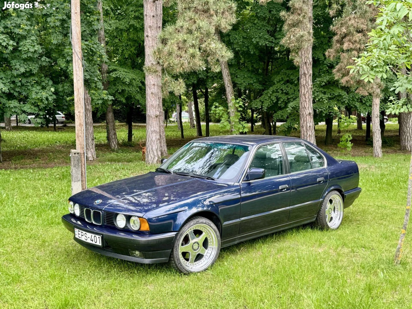 BMW 535i (Automata) OZ Futura 8.5-10x18. Eisenmann