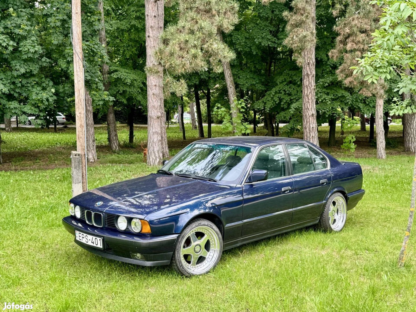 BMW 535i (Automata) OZ Futura 8.5-10x18. Eisenmann