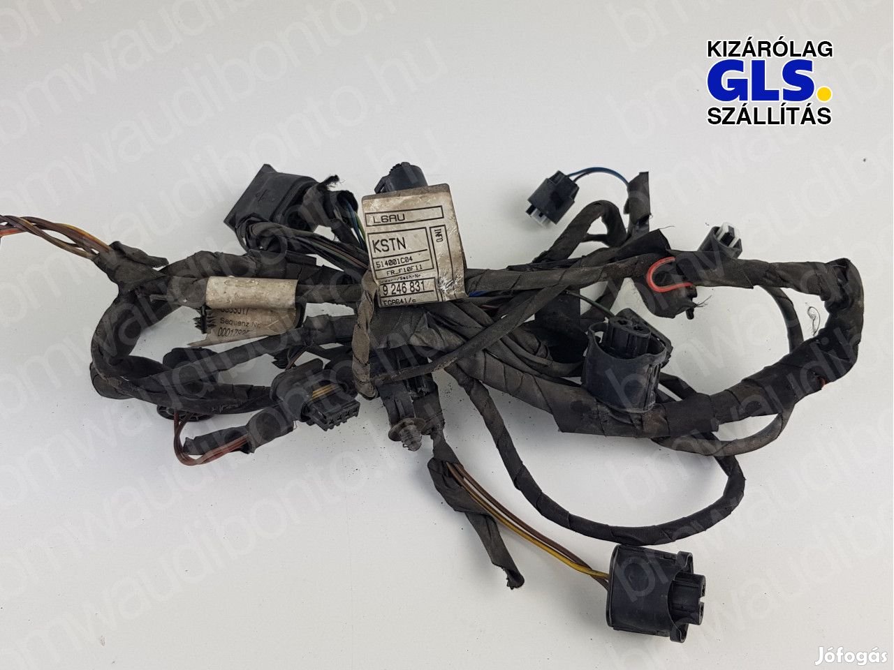 BMW 5 (F10) Első parkolószenzor (PDC) kábelköteg (9246831)